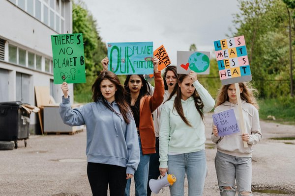 Les Dynamiques Entre Politique Sociale et Marché du Travail : Un Éclairage Innovant